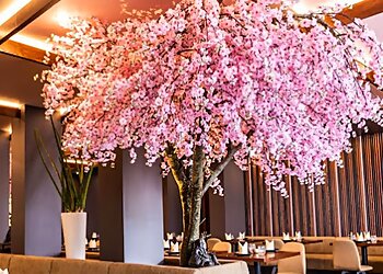 JaVi-Japanese & Vietnamese photo JaVi-Japanese & Vietnamese