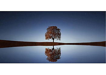 Janice Meryl Frank image Janice Meryl Frank