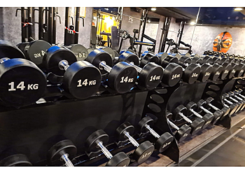 John Reed Club Potsdam image John Reed Club Potsdam