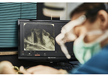 KLEINTIERPRAXIS IM ZENTRUM photo KLEINTIERPRAXIS IM ZENTRUM