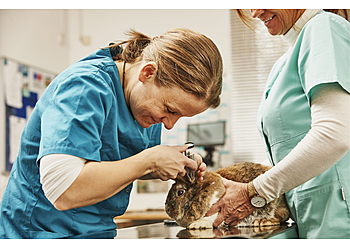 KLEINTIERPRAXIS IM ZENTRUM image KLEINTIERPRAXIS IM ZENTRUM