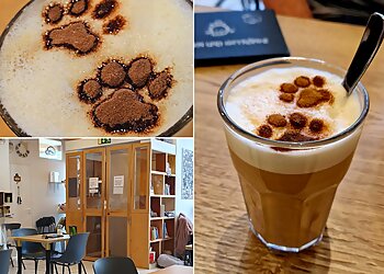 Katzencafé Miezhaus image Katzencafé Miezhaus