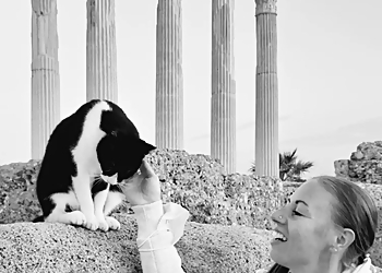 Katzensitter-Braunschweig