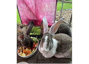 Katze und Co. eGbR photo Katze und Co. eGbR