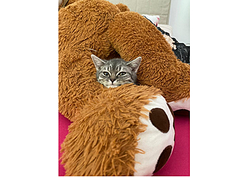 Katze und Co. eGbR image Katze und Co. eGbR