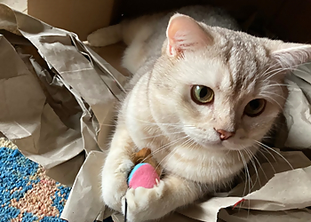 Katze und Co. eGbR Katze und Co. eGbR