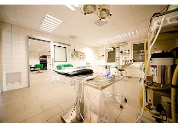 KleinTIERZENTRUM Asterlagen image KleinTIERZENTRUM Asterlagen