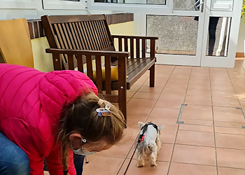 Kleintier-& Vogelpraxis Dr. Alexandra Fluck image Kleintier-& Vogelpraxis Dr. Alexandra Fluck