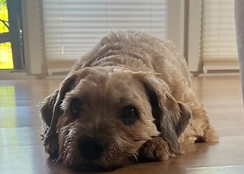 Kleintierklinik Am Tierheim Lübeck GbR image Kleintierklinik Am Tierheim Lübeck GbR