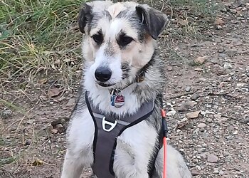 Kleintierklinik Dr. Hartmut Wagner-Rietschel & Dr. Michael Heilmann image Kleintierklinik Dr. Hartmut Wagner-Rietschel & Dr. Michael Heilmann