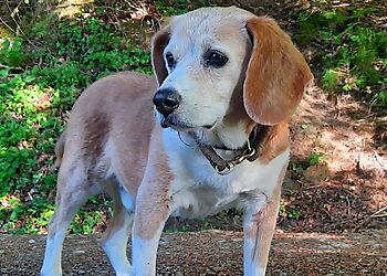 Kleintierklinik Frank image Kleintierklinik Frank