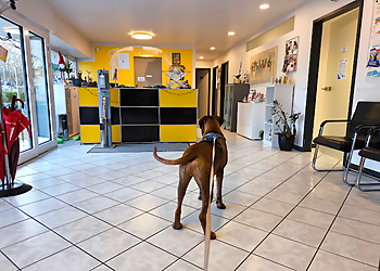 Kleintierpraxis Amin GmbH photo Kleintierpraxis Amin GmbH