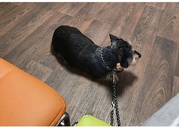 Kleintierpraxis Bielefeld-Schildesche photo Kleintierpraxis Bielefeld-Schildesche