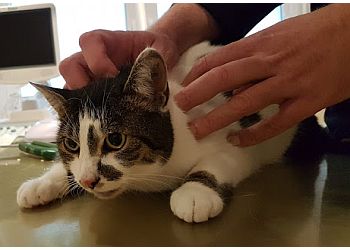 Kleintierpraxis Bielefeld-Schildesche image Kleintierpraxis Bielefeld-Schildesche