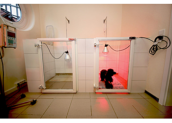 Kleintierpraxis Detmolder Straße image Kleintierpraxis Detmolder Straße