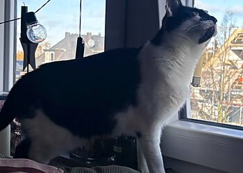 Kleintierpraxis Dr. Dana Ladig photo Kleintierpraxis Dr. Dana Ladig