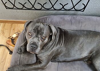 Kleintierpraxis Dr. Dana Ladig image Kleintierpraxis Dr. Dana Ladig