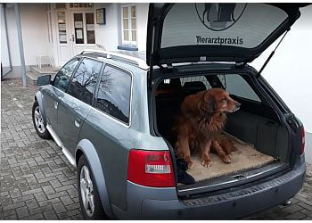 Kleintierpraxis Dr. Dirk Wischer photo Kleintierpraxis Dr. Dirk Wischer