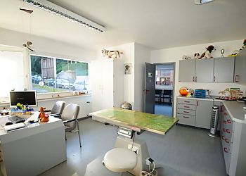 Kleintierpraxis Dr. Kim photo Kleintierpraxis Dr. Kim