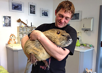 Kleintierpraxis Dr. Kim image Kleintierpraxis Dr. Kim