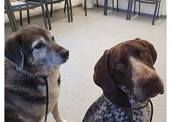 Kleintierpraxis Dr. Kim photo Kleintierpraxis Dr. Kim