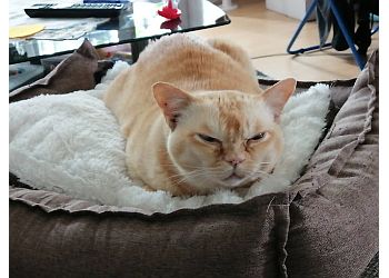 Kleintierpraxis Dr. Kim image Kleintierpraxis Dr. Kim