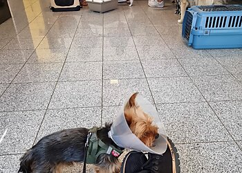 Kleintierpraxis Dr. med. vet. Dolas Ngarwate photo Kleintierpraxis Dr. med. vet. Dolas Ngarwate