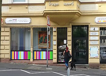 Kleintierpraxis Dr. med. vet. Dolas Ngarwate
