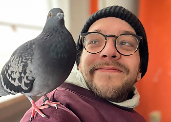 Kleintierpraxis Dörsch image Kleintierpraxis Dörsch