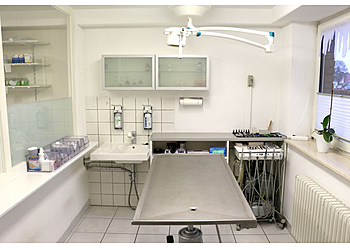 Kleintierpraxis Elsen image Kleintierpraxis Elsen