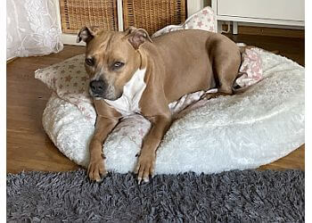 Kleintierpraxis Hannover Mitte image Kleintierpraxis Hannover Mitte