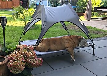 Kleintierpraxis Michael Diekhans image Kleintierpraxis Michael Diekhans