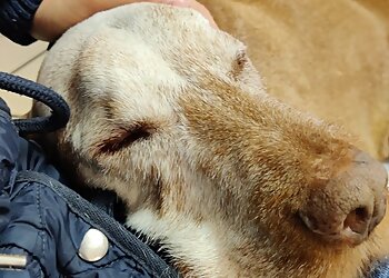 Kleintierpraxis Osnabrück image Kleintierpraxis Osnabrück