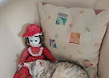 Kleintierpraxis Rita Otten photo Kleintierpraxis Rita Otten