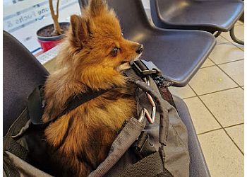 Kleintierpraxis Schnelle & Fuchs image Kleintierpraxis Schnelle & Fuchs