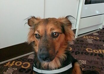 Kleintierpraxis Solingen photo Kleintierpraxis Solingen