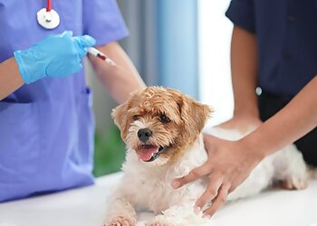 Kleintierpraxis Wendel photo Kleintierpraxis Wendel