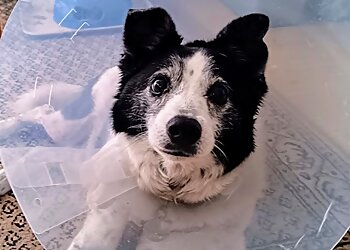 Kleintierpraxis Wendel image Kleintierpraxis Wendel