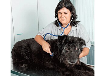 Kleintierpraxis am Haigst GmbH image Kleintierpraxis am Haigst GmbH