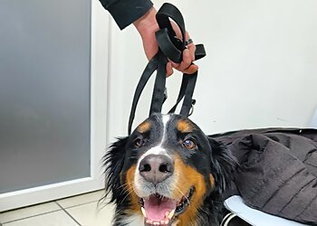 Kleintierpraxis am Mühlenweg Adrian Berger photo Kleintierpraxis am Mühlenweg Adrian Berger