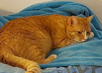 Kleintierpraxis am Mühlenweg Adrian Berger image Kleintierpraxis am Mühlenweg Adrian Berger