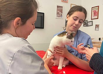 Kleintierspezialisten image Kleintierspezialisten