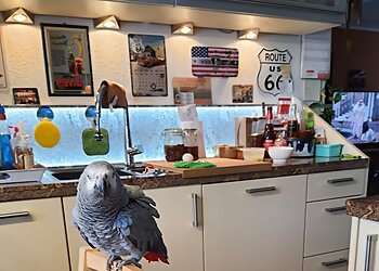 Kleintier-& Vogelpraxis Dr. Alexandra Fluck photo Kleintier-& Vogelpraxis Dr. Alexandra Fluck