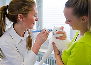 Kleintierzentrum Besserer Kleintierzentrum Besserer