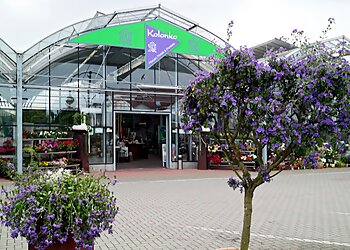 Kolonko Pflanzen, Floristik & Phantasie photo Kolonko Pflanzen, Floristik & Phantasie