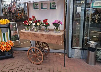 Kolonko Pflanzen, Floristik & Phantasie image Kolonko Pflanzen, Floristik & Phantasie