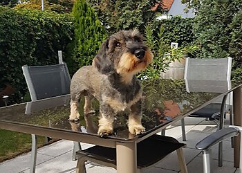 Krayer’s Pfoteneck photo Krayer’s Pfoteneck