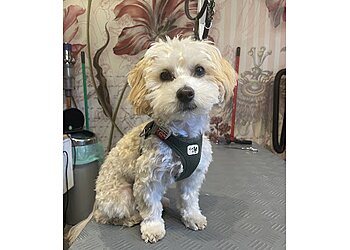 Krayer’s Pfoteneck image Krayer’s Pfoteneck