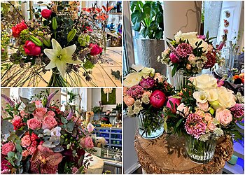 Kureck Floristik image Kureck Floristik