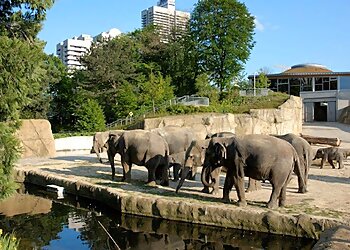 Kölner Zoo photo Kölner Zoo